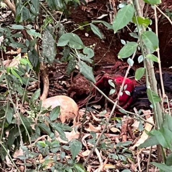 Vídeo: Achado macabro em Missal. Ossada humana é encontrada espalhada perto da Ponte Molhada