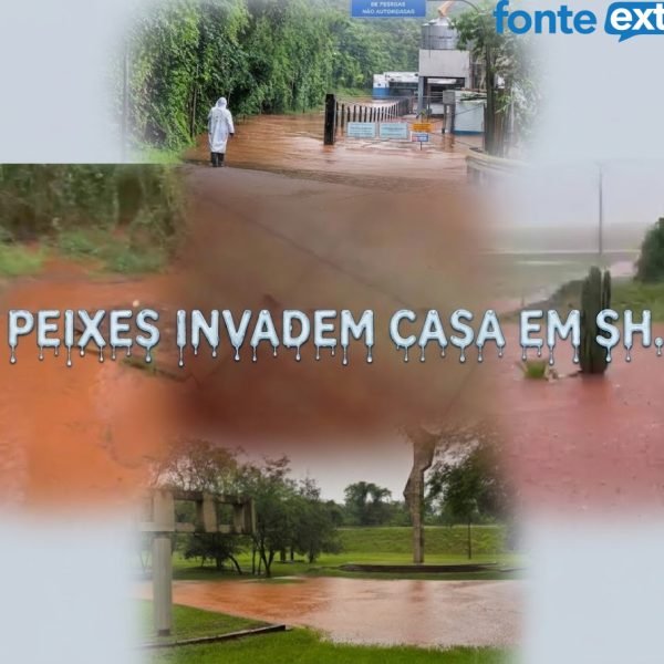 Chuva faz açude transbordar e peixes invadem área de casa em Santa Helena (vídeo)