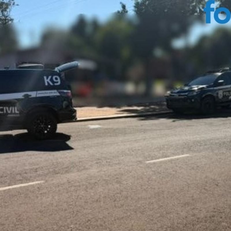 Polícia dá batida a procura de drogas com cão farejador em duas casas em Santa Helena