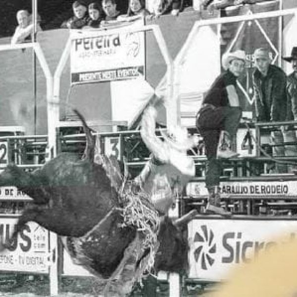 São José das Palmeiras se preparando para comemorar 41 anos