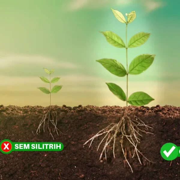 Sucesso no Brasil e no Paraguai, Silitrih Fértil se firma como principal empresa do ramo de fertilizantes minerais